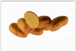 Сорт картофеля Славянка